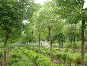 浙江金蛹科技有限公司